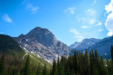 Alberta 'nın kayalık dağları güneşli bir yaz gününde kozalaklı ormanlarla çevrilidir.