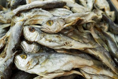 Asya 'daki mağazada büyük bir kurutulmuş balık çeşidi sergileniyor.