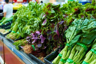 Asya 'daki bir süpermarkette taze sebze ve otlardan oluşan geniş bir çeşitlilik.