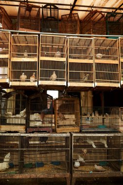 Eski bir kuş kafesi ve kuş Asya pazarında satılır.