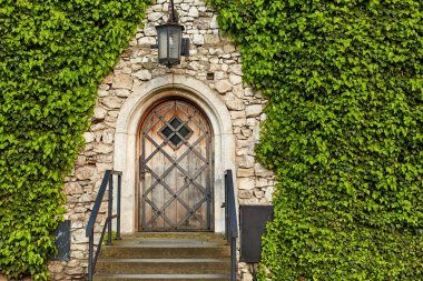 Sarmaşık kaplı çitin içinde küçük mistik bir kapı Krakow 'un merkezindeki eski Zamek Krolewski na Wawelu kalesine