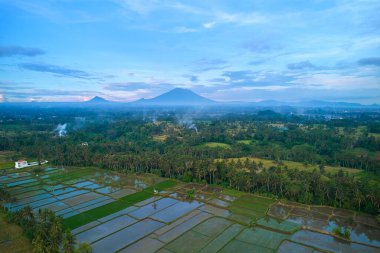 Agung Dağı Panoraması ve Bali Adası 'ndaki pirinç tarlaları.