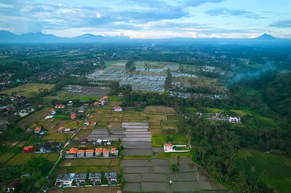 Pirinç tarlalarının havadan görünüşü ve insansız hava aracından bir tepe köyü. Bali adasında pirinç terasları