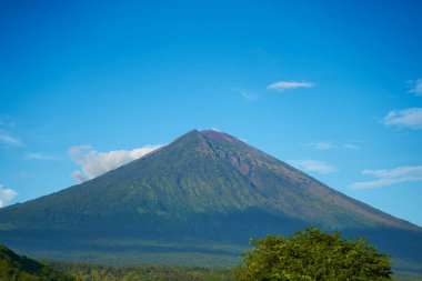 Agung Dağı 'nın panoraması ve Bali adasındaki pirinç tarlaları. Dağın arka planında palmiye ağaçları ve mısır tarlaları var. Güneşli bir günde Agung volkanı bulutlarla kaplı.