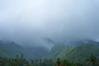 Artan dağlar ve palmiye ağaçları olan pirinç tarlasında tropik bir yağmur fırtınası.