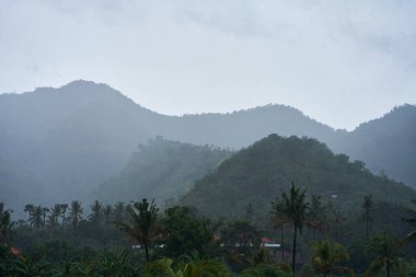 Artan dağlar ve palmiye ağaçları olan pirinç tarlasında tropik bir yağmur fırtınası.