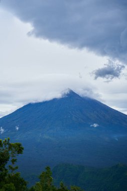Agung Dağı 'nın panoraması ve Bali adasındaki pirinç tarlaları. Dağın arka planında palmiye ağaçları ve mısır tarlaları var. Agung volkanı yağmurlu bir günde bulutlarla kaplı.