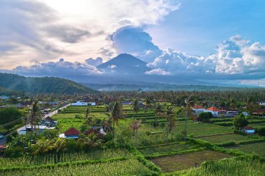 Agung Dağı Panoraması ve Bali Adası 'ndaki pirinç tarlaları.