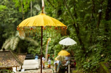 Geleneksel şemsiyeler Bali 'nin popüler turistik adasındaki bir orman tapınağında.