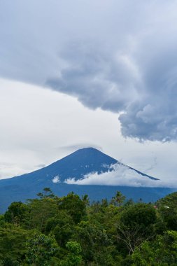 Agung Dağı 'nın panoraması ve Bali adasındaki pirinç tarlaları. Dağın arka planında palmiye ağaçları ve mısır tarlaları var. Agung volkanı yağmurlu bir günde bulutlarla kaplı.