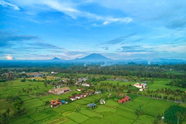 Agung Dağı Panoraması ve Bali Adası 'ndaki pirinç tarlaları.