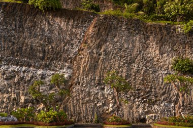 The background is a cut of a stone mountain with growths. The texture of the cliff clipart