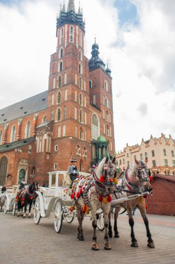 Güzel giyimli atları olan klasik zarif arabalar Avrupa 'nın eski sokaklarındaki tarihi Krakow merkezinde insanlara biniyor. Krakow, Polonya - 05.16.2019
