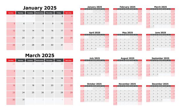 2025 calendar. A vector collection of English monthly calendars. Design with Sunday start
