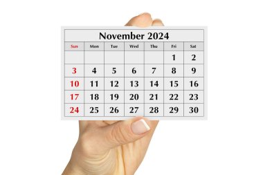 Yıllık takvimin sayfası Kasım 2024. Beyazda izole edilmiş