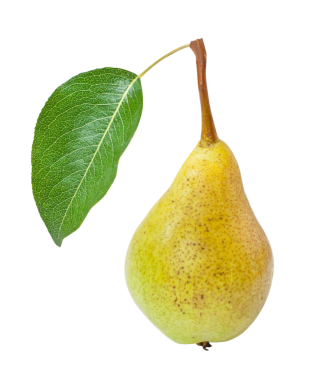 Meyve. Yeşil yapraklı sarı armut. png şeffaf