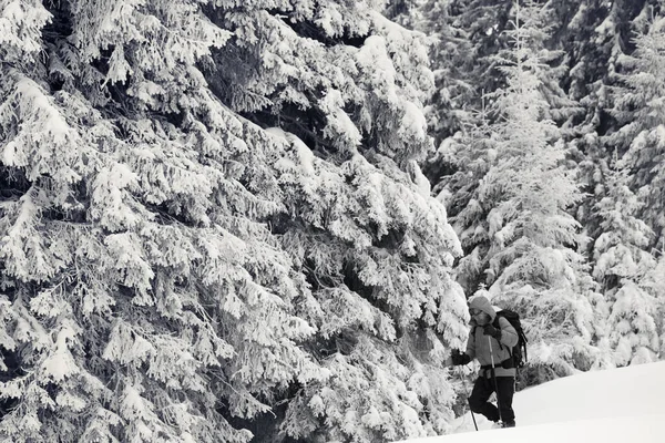 Spaziergänger Gehen Grauen Wintertagen Nach Schneefall Mit Neuschnee Den Verschneiten — Stockfoto