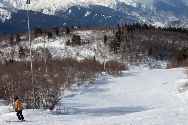 Descente Skieuse Sur Piste Enneigée Soleil Jour Hiver Montagnes Caucase — Photo