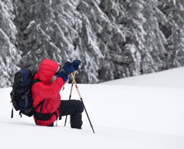 Kar yağışı sonrası kış aylarında kayak sopalı bir yürüyüşçü karla kaplı ormanda kar yığınına doğru yol alır. Noel tatillerinde Karpat Dağları, Ukrayna. Uzak konum.