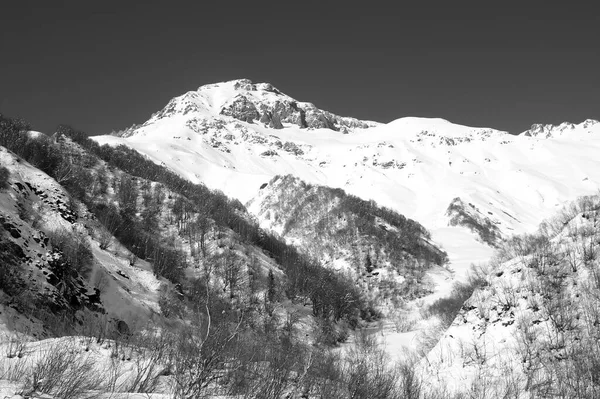 Besneeuwde Bergen Helling Met Bos Zonnige Winterdag Kaukasusgebergte Regio Dombay — Stockfoto