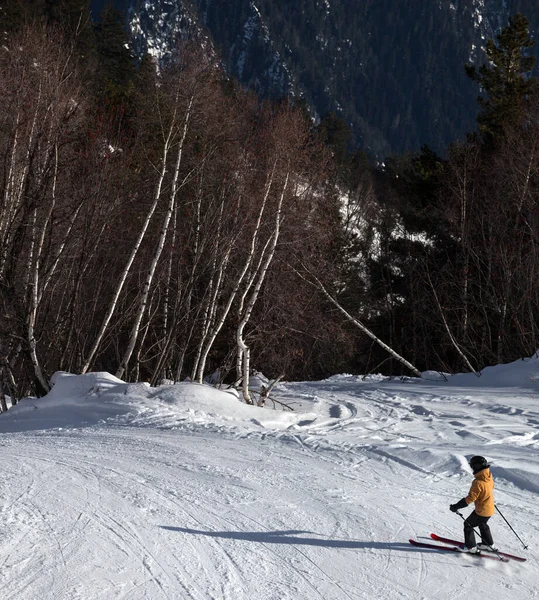 Descida Esquiador Pista Esqui Nevado Floresta Dia Ensolarado Inverno Montanhas — Fotografia de Stock