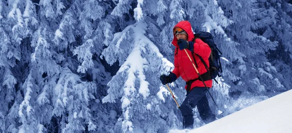 Wanderer Bahnt Sich Seinen Weg Verschneiten Hang Verschneiten Zauberwald Einem — Stockfoto