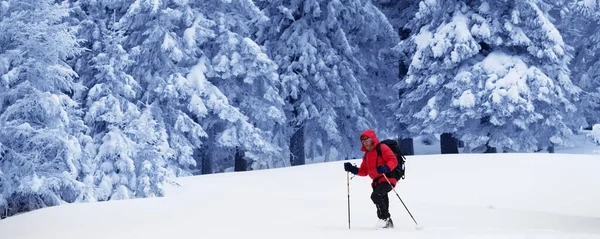 雪の降る冬の日は雪に覆われた魔法の森の中でバックパッカーが雪の斜面を進みます クリスマス休暇でカルパティア山脈 ウクライナ 緊張した風景 パノラマビュー — ストック写真