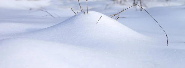 Sneeuw Drift Droog Gras Winter Bos Bij Sneeuwval Panoramisch Uitzicht — Stockfoto