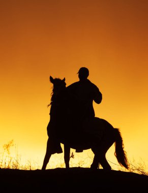 Black silhouette of rider on horseback and beautiful orange sunset over field