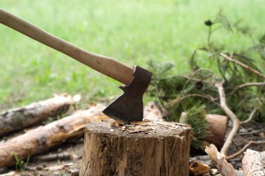 Ax in stump on clearing in pine wood at sun summer day