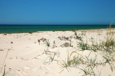 Mavi açık gökyüzü, deniz ve kum sıcak yaz gününde ıssız sahilde.