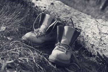Pair of trekking boots in forest near fallen tree. Black and white retro toned image.