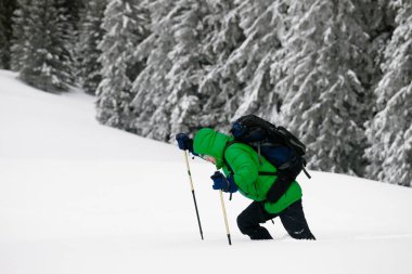 Yürüyüşçü kar yağışı sonrası kış aylarında karla kaplı ormanda kar yığınına doğru yol alır. Karpat Dağları, Ukrayna. Uzak konum.