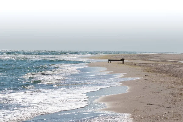 Chaise Longue Bois Sur Une Plage Sable Déserte Mer Avec — Photo