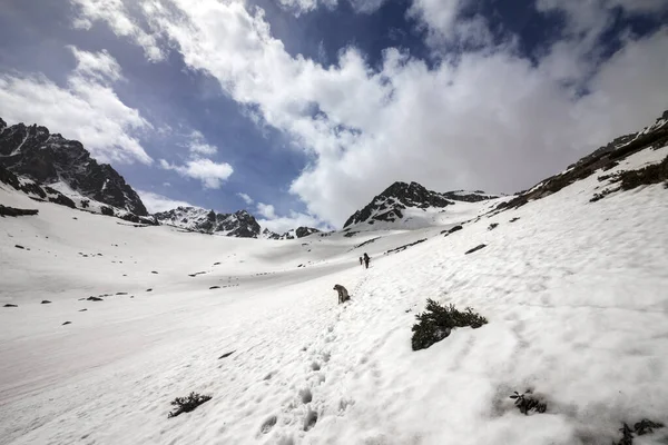 雪の山と雲と青空 ハイカーからの雪の中の歩道 トルコ カフカル ポニック山脈の最も高い部分 広角ビュー — ストック写真