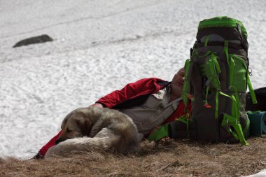 Büyük sırt çantalı bir yürüyüşçü ve yüksek dağlarda karlı buzulların yakınında dinlenen bir köpek.