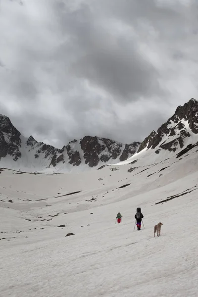 Yüksek Dağlarda Karlı Platoda Köpekli Iki Yürüyüşçü Gri Günde Bulutlu — Stok fotoğraf