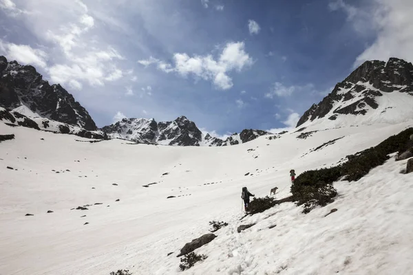 Dois Caminhantes Com Cão Primavera Montanhas Nevadas Dia Ensolarado Turquia — Fotografia de Stock