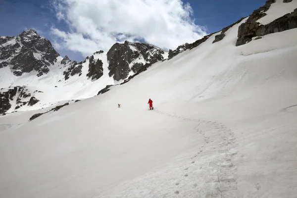 灰色の日に高い雪の山の中で犬とスノーシューでハイカー トルコ カフカル山脈 ポントス山脈の最も高い部分 — ストック写真