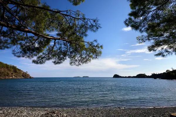 暖かい晴れた夏の日に松の木からの影を持つ穏やかな湾と小石の無人ビーチ 地中海 トルコ 広角ビュー — ストック写真