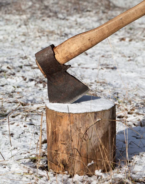 Axe Log Winter Forest Sun Day Close View — Stock Photo, Image