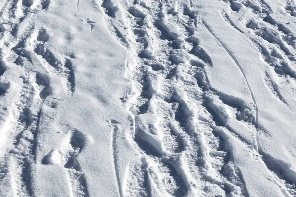 Voetafdrukken Sneeuw Avondwinter Bergen Sneeuwval Close Upzicht — Stockfoto