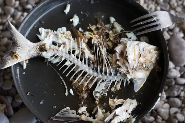 Gnawed bones with head and tail of freshly caught fried fish (dorado) in metal pan on pebble beach. Outdoor cooking. Fishing and sea holidays. View from above.