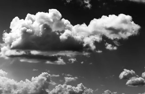 Black and white sky with clouds at sun summer day. High contrast.
