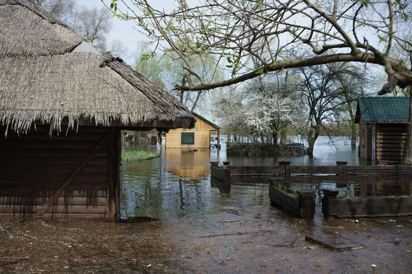 Záplavy Kyjevě Ukrajině Duben 2023 Park Muromets Břehu Řeky Dněpru — Stock fotografie