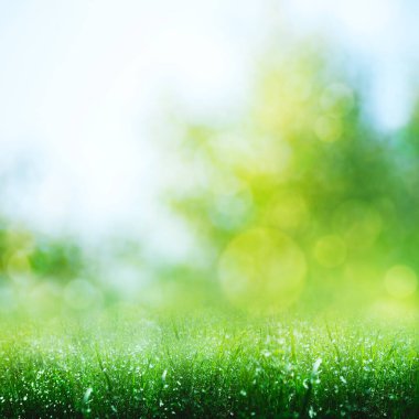 Parlak güneş ışığı altında yaz otlağı, soyut mevsimsel arka planlar