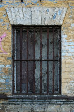 Yıpranmış tuğla bir duvara kurulmuş eski parmaklıklı bir pencerenin rahatsız edici görüntüsü. Paslı metal çerçeve ve hapishane tipi ızgara kısmen sarmaşıkla kaplı.,