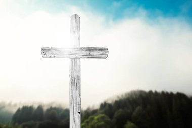 Doğada Paskalya haçı
