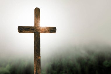 Doğada Paskalya haçı