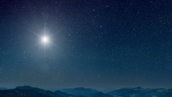 星も月もある森の夜空 — ストック写真